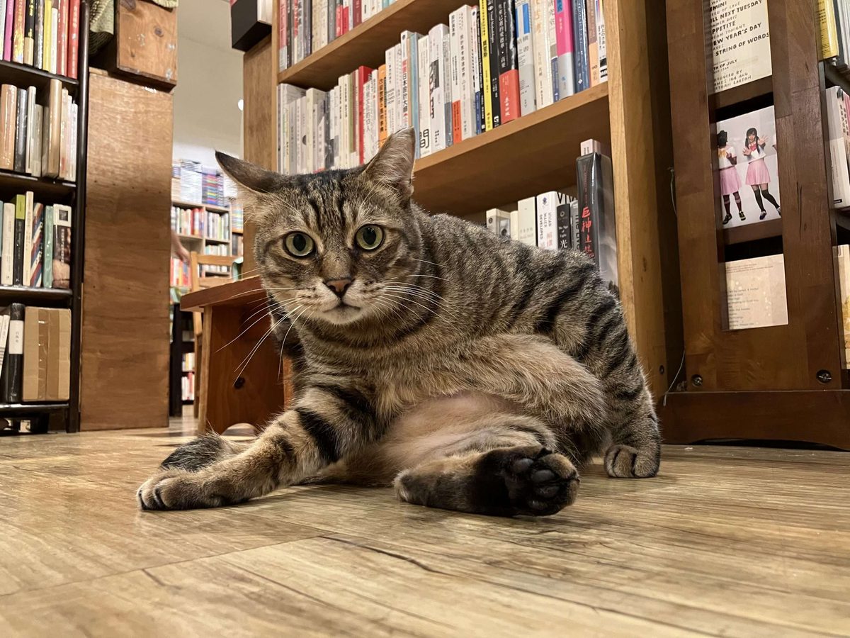 小小書房店景